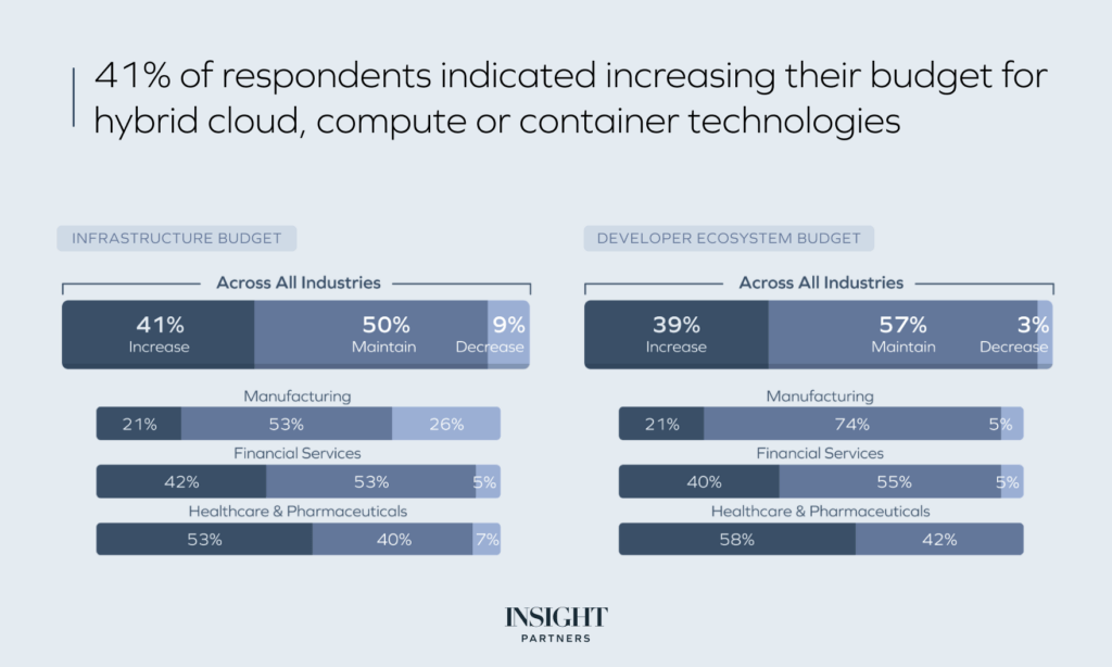 Infrastructure SaaS budget and developer ecosystem budget